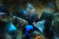 サンシャイン水族館3