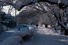 雪化粧をした街2