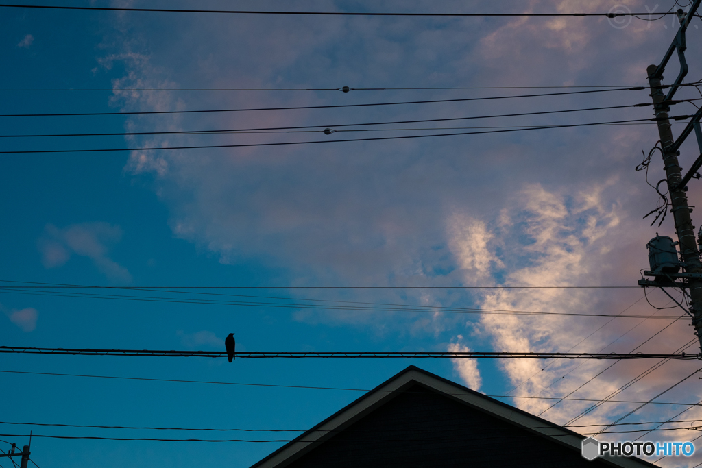 CROW