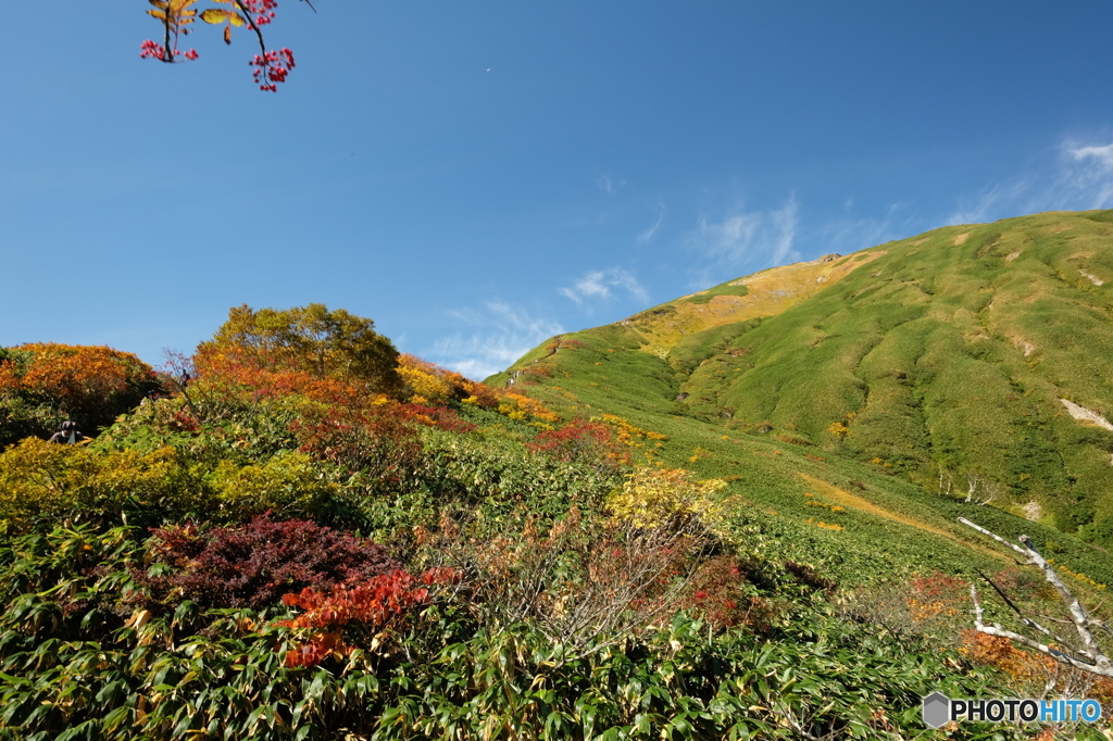 谷川岳の紅葉3