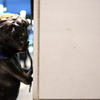 そっと覗く銀座の天使2