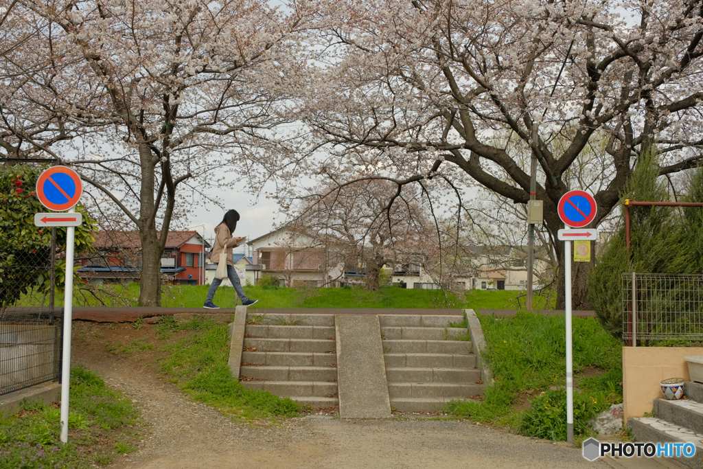 春の道を歩く