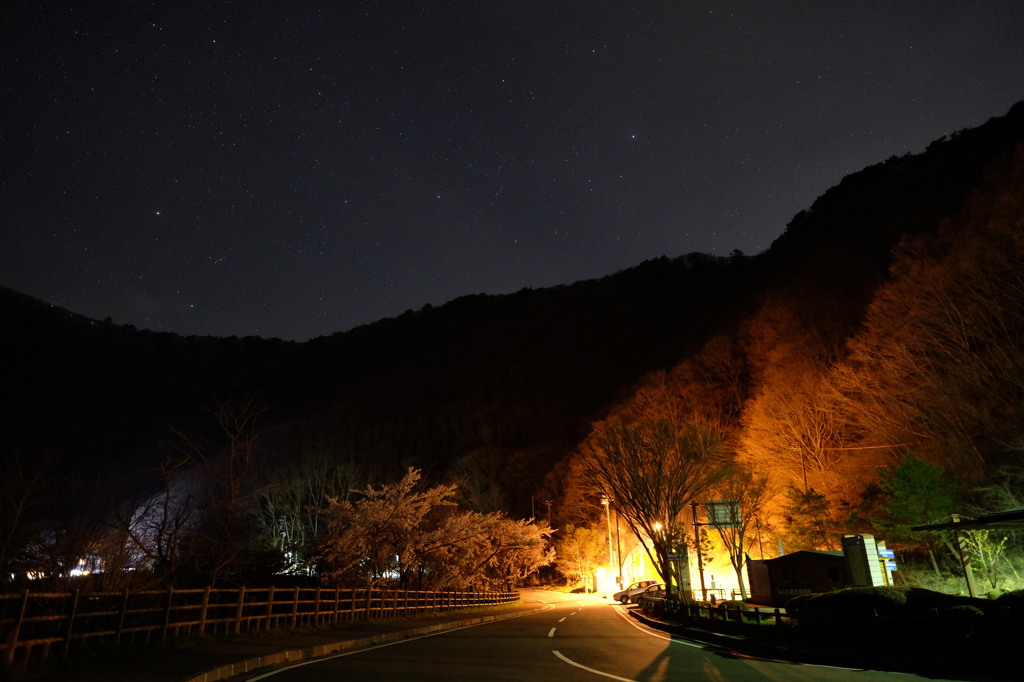 本栖湖の夜道