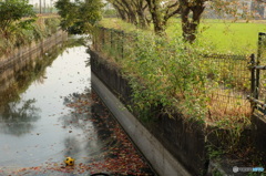 浮かぶサッカーボール