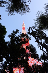 東京タワーと木
