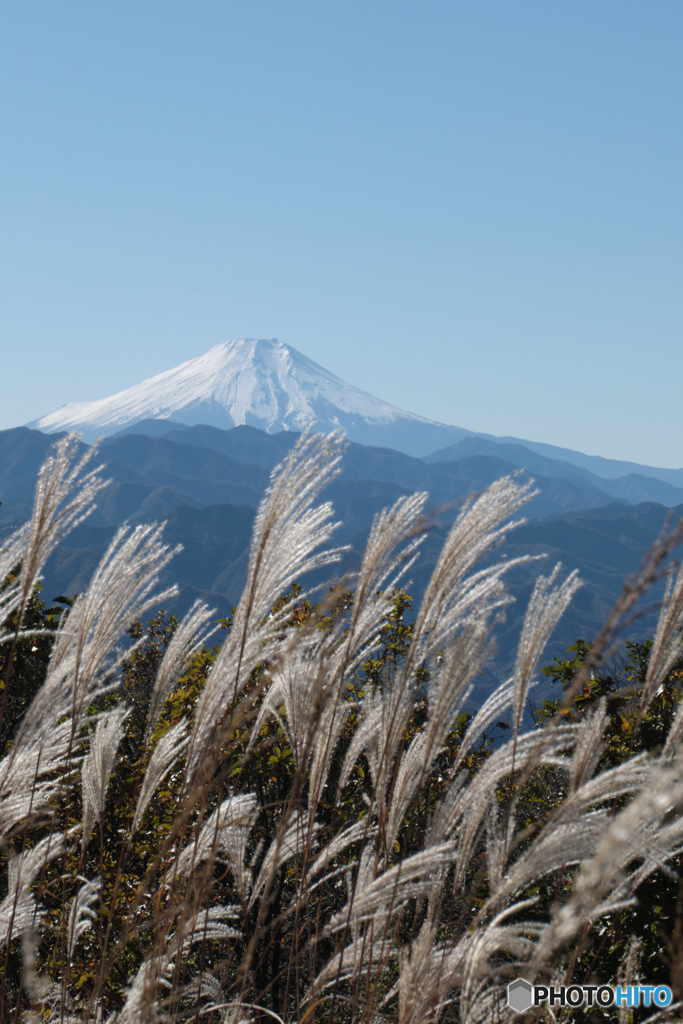 陣馬山から見える富士山