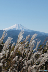 陣馬山から見える富士山