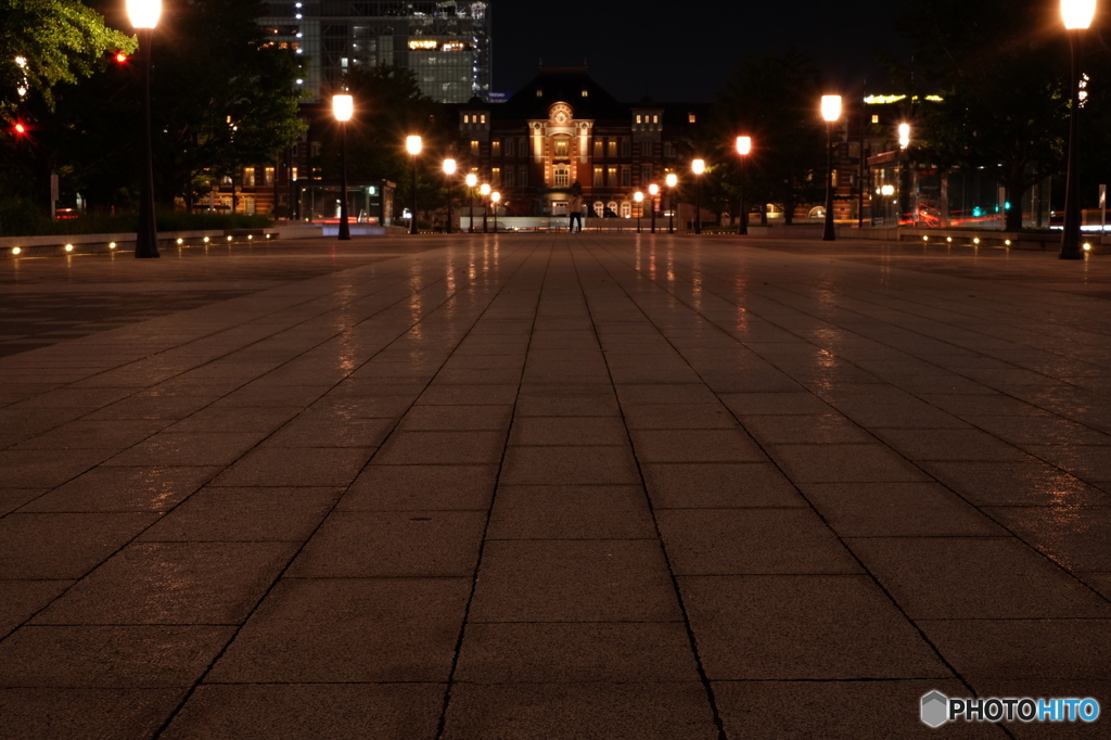 東京駅の夜景13