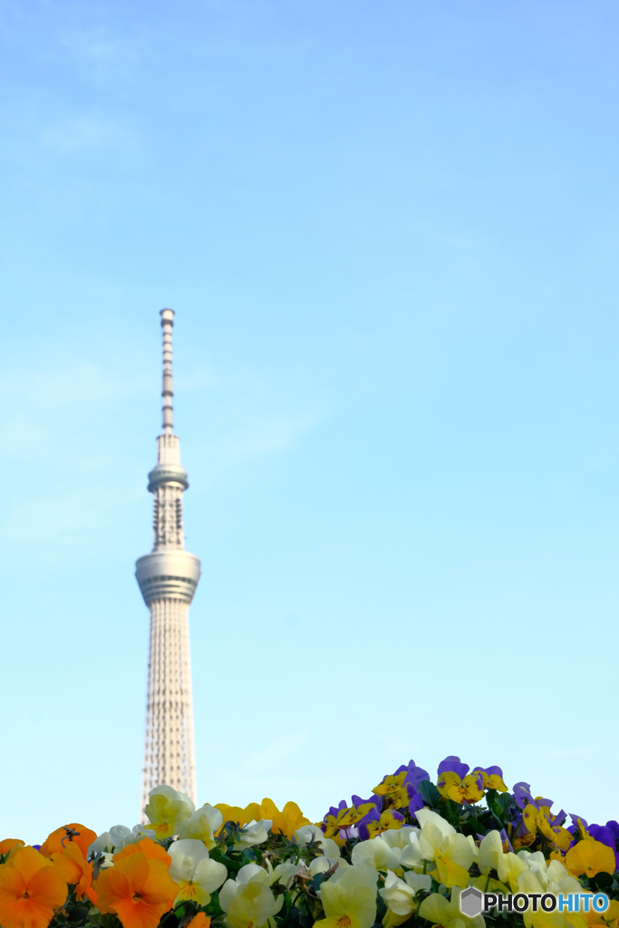 東京スカイツリー170