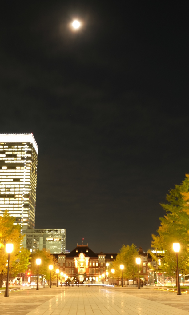 東京駅の夜景5