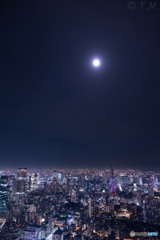 月下東京