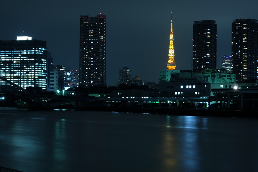 築地市場5 東京タワー3