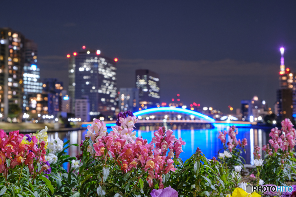 都会の花壇
