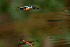 リフレクション 2