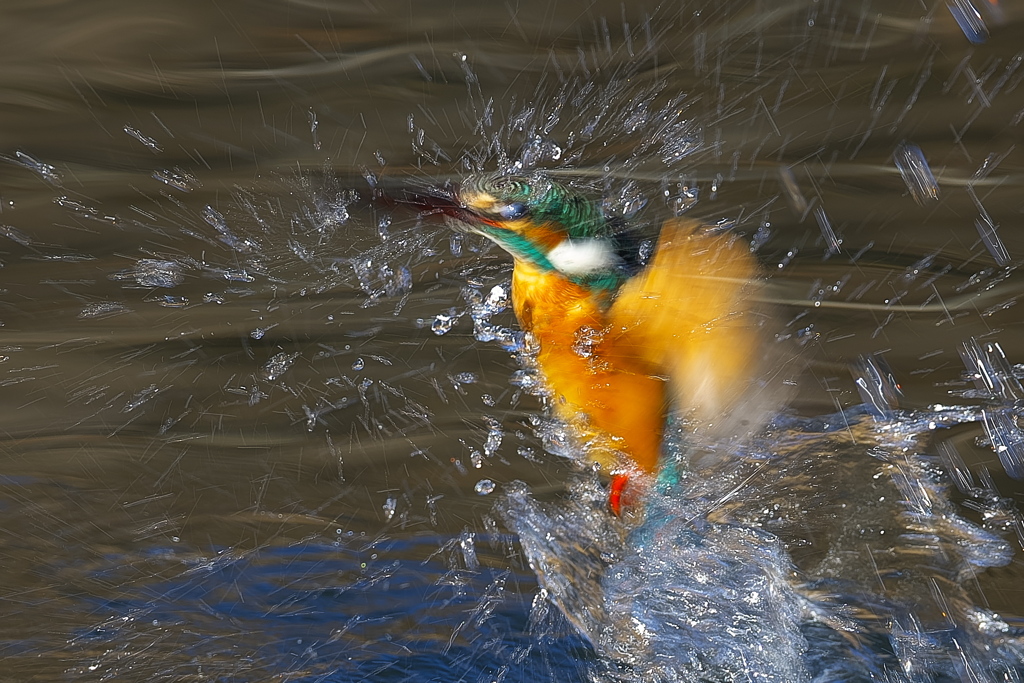 スプラッシュ 2