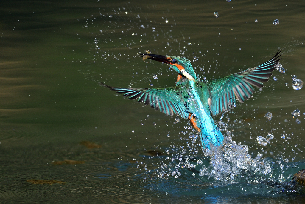 えびゲット 2021_3