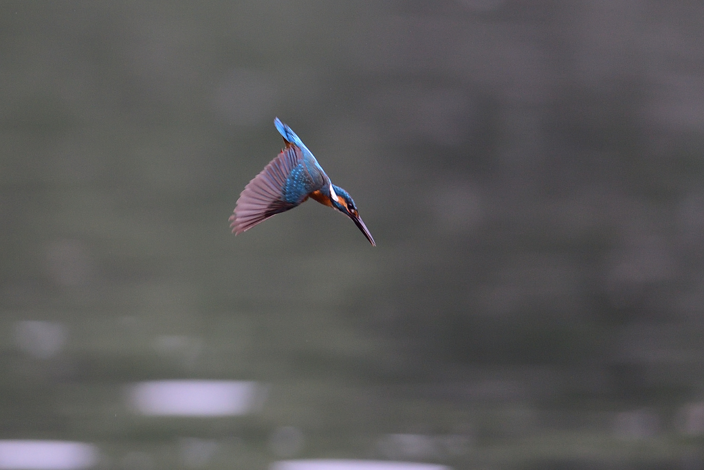 ロックオン 2021_8