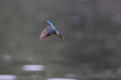 ロックオン 2021_8