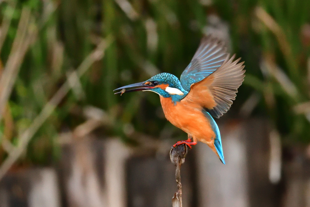 足が浮いていなかった！