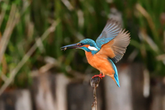 足が浮いていなかった！