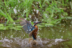 えびゲット 2020_58