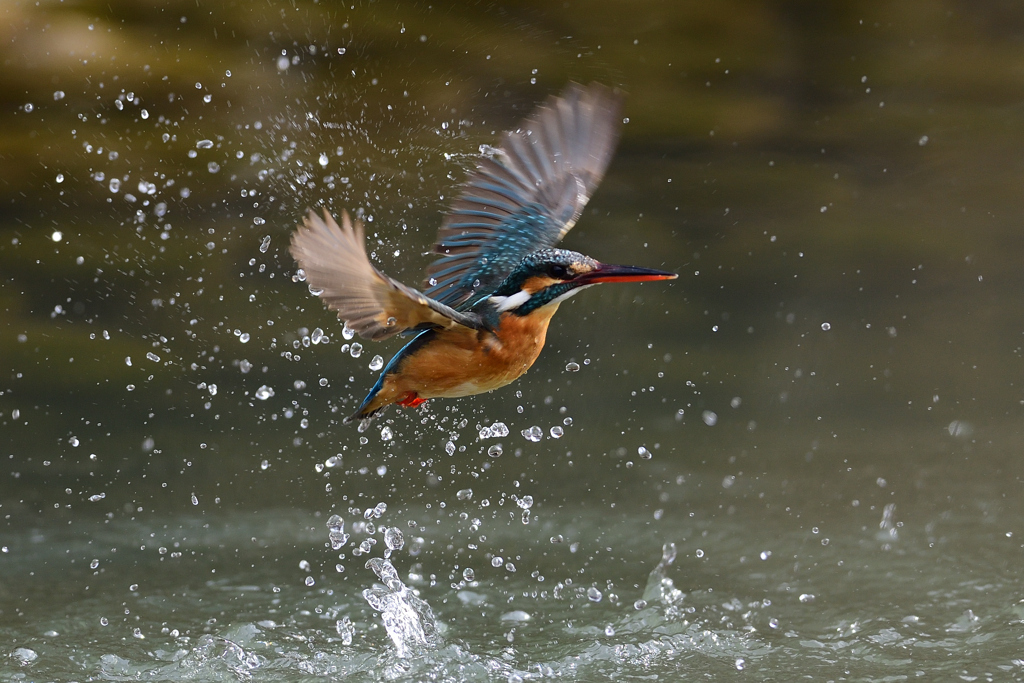 雛子の飛び出し 3