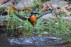 極小ゲット 2020_1