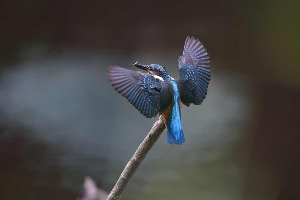 ランディング２＿Ｂ