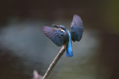 ランディング２＿Ｂ