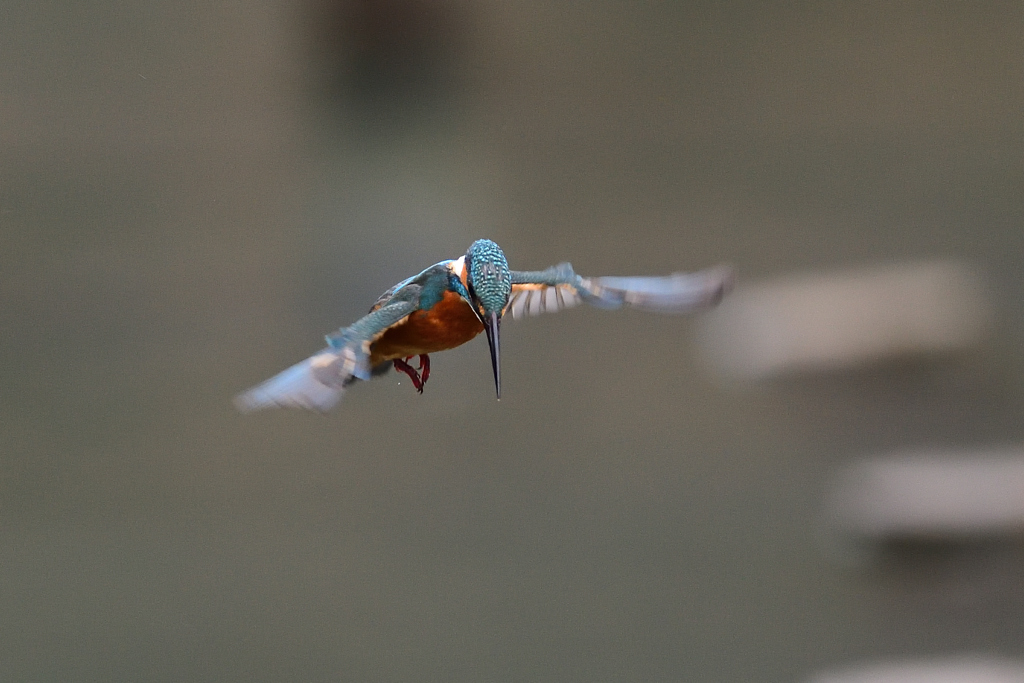 ホバリング A-13