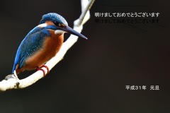謹賀新年 2019_2