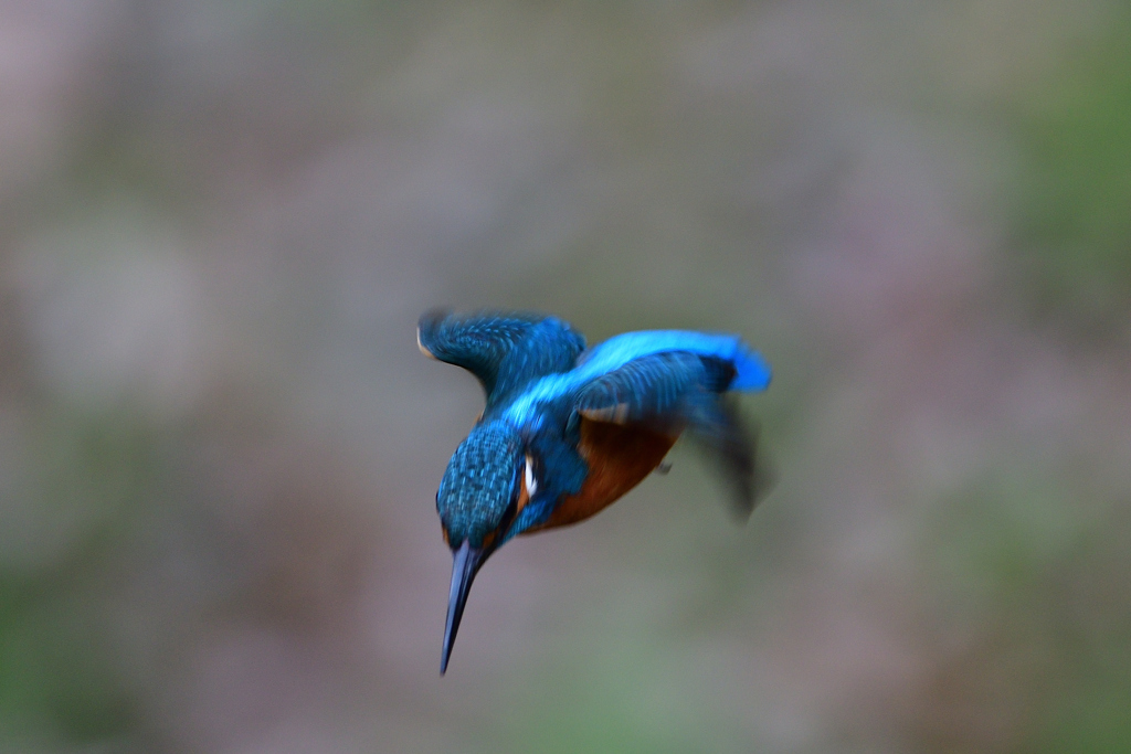 ロックオン 2020_3