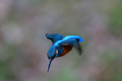 ロックオン 2020_3