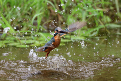 えびゲット 2020_59