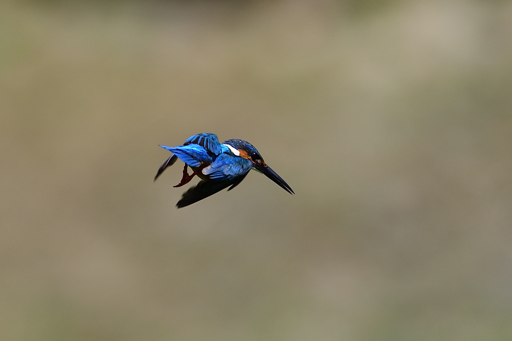 ロックオン 2020_7