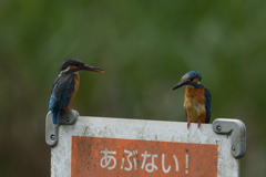 反省