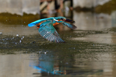 えびゲット 2019_52