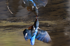 水面鏡