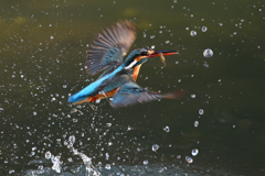 えびゲット 2021_15