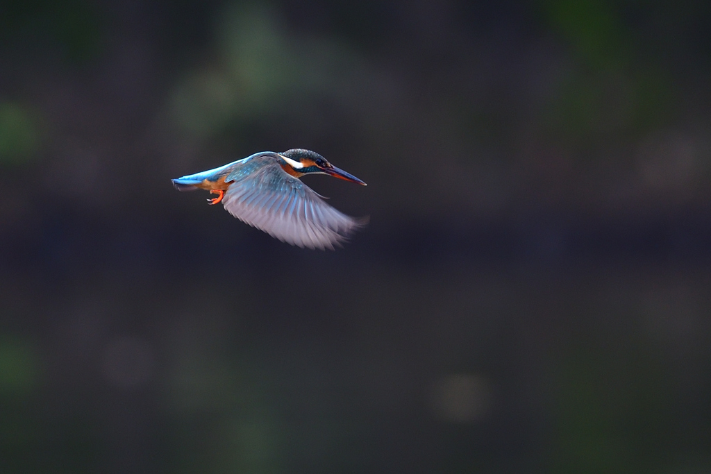 my favorite hoverings 6