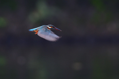 my favorite hoverings 6