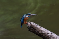 うーむ！小さい