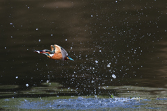 星をちりばめ飛び出す