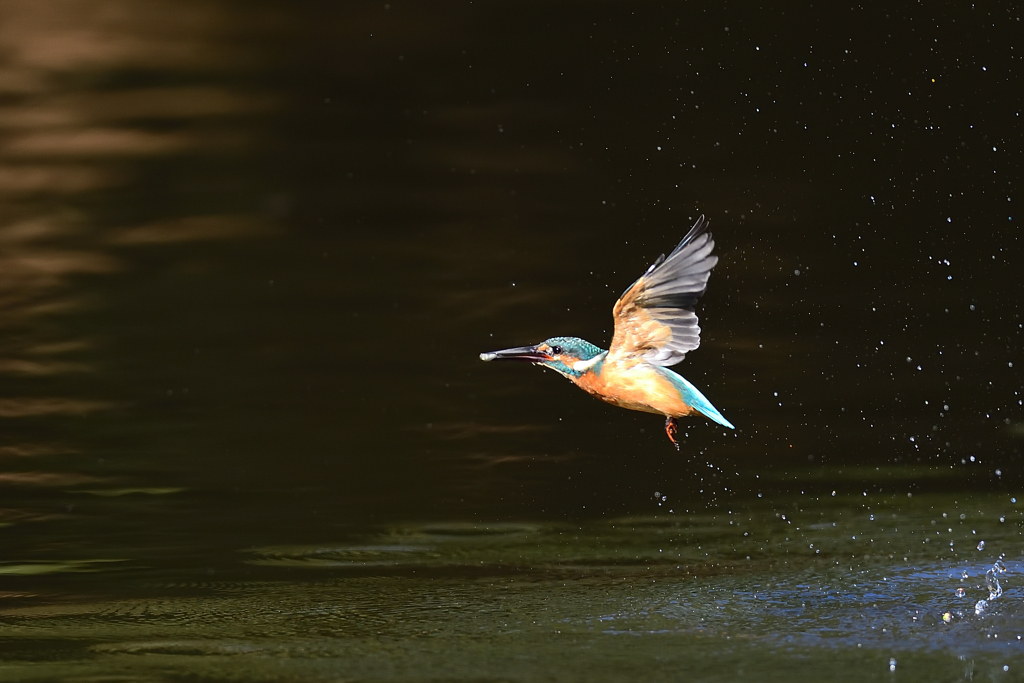 お魚ゲット 2021_94