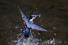 スプラッシュ３