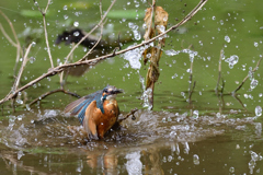 えびゲット 2020_60