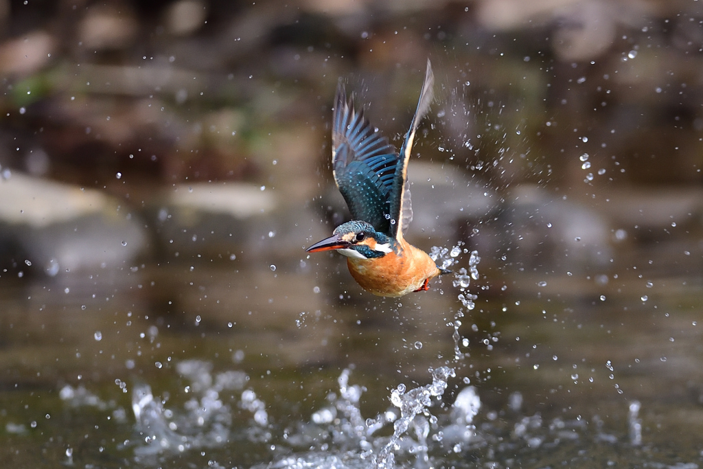 スプラッシュ A-3