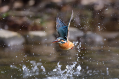 スプラッシュ A-3