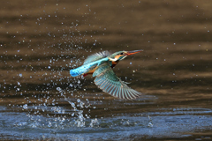 ライジング 2020_3