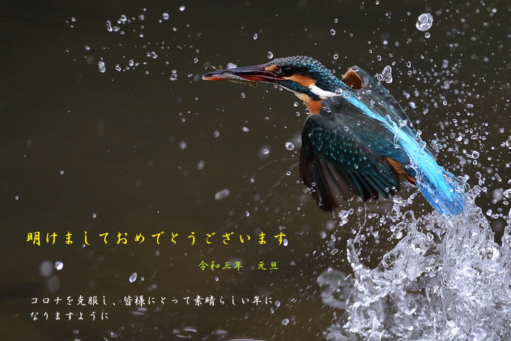 賀正